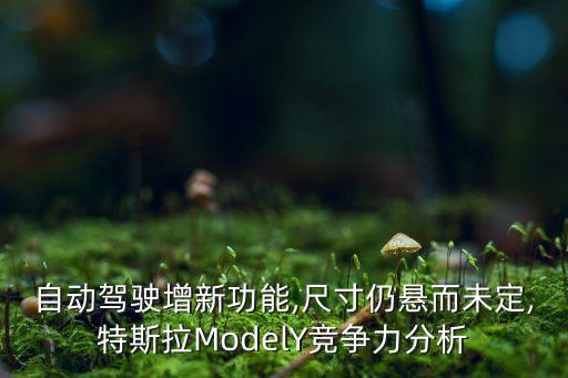 自動(dòng)駕駛增新功能,尺寸仍懸而未定,特斯拉ModelY競(jìng)爭(zhēng)力分析