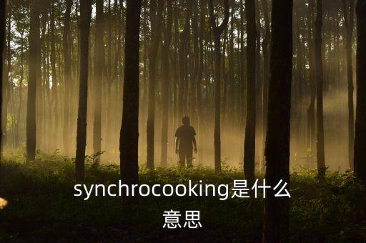 synchro，sync是哪幾個單詞的縮寫