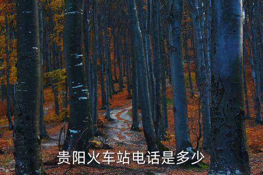 貴陽火車站電話，貴陽火車站電話是什么