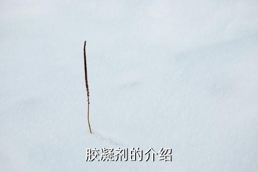 膠凝，膠凝劑的介紹