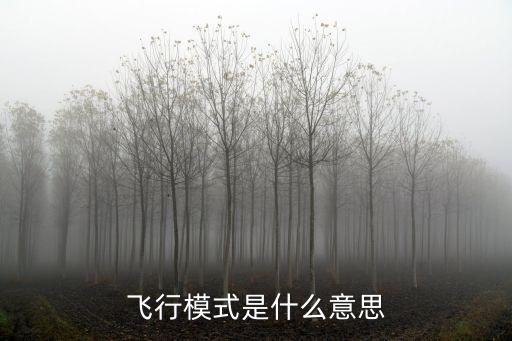 什么是飛行模式，老人機(jī)的飛行模式在哪