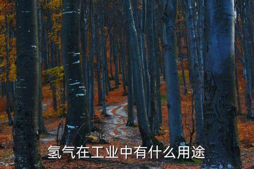 氫氣在工業(yè)中有什么用途