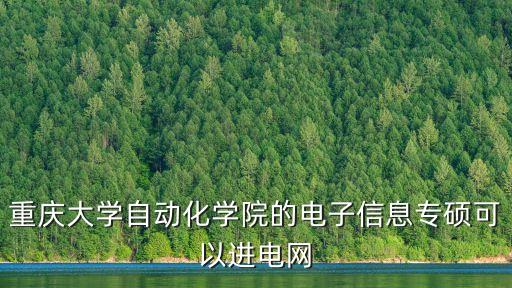 重慶大學(xué)自動(dòng)化學(xué)院的電子信息專(zhuān)碩可以進(jìn)電網(wǎng)