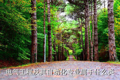 電氣工程及其自動(dòng)化專業(yè)屬于什么類