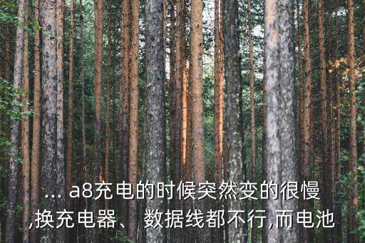 ... a8充電的時(shí)候突然變的很慢,換充電器、 數(shù)據(jù)線(xiàn)都不行,而電池