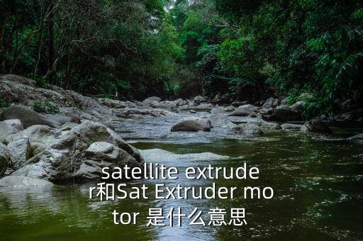 satellite extruder和Sat Extruder motor 是什么意思