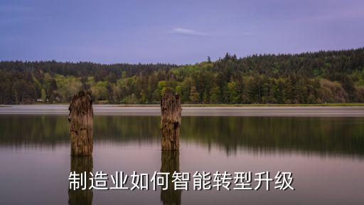 制造業(yè)如何智能轉(zhuǎn)型升級(jí)