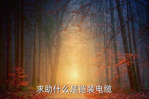 鎧裝電纜，什么是鎧裝電纜