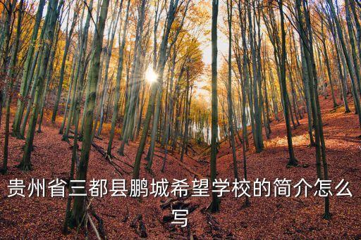 鵬城實(shí)驗(yàn)室，最好的淘寶網(wǎng)店培訓(xùn)嗎他們是政府公辦有專(zhuān)業(yè)實(shí)訓(xùn)室嗎我想自