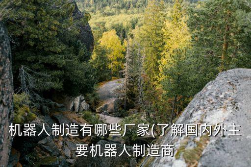 機器人制造有哪些廠家(了解國內(nèi)外主要機器人制造商