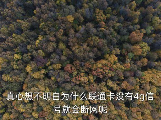 真心想不明白為什么聯(lián)通卡沒有4g信號就會斷網(wǎng)呢
