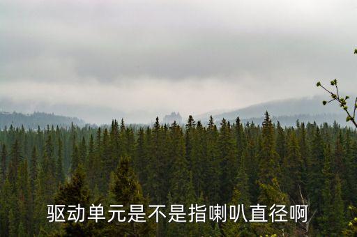 驅(qū)動(dòng)單元，驅(qū)動(dòng)單元是不是指喇叭直徑啊
