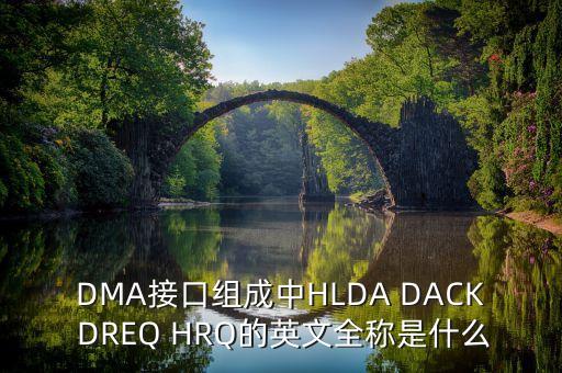 DMA接口組成中HLDA DACK DREQ HRQ的英文全稱是什么