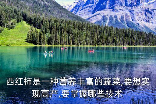 西紅柿是一種營養(yǎng)豐富的蔬菜,要想實(shí)現(xiàn)高產(chǎn),要掌握哪些技術(shù)