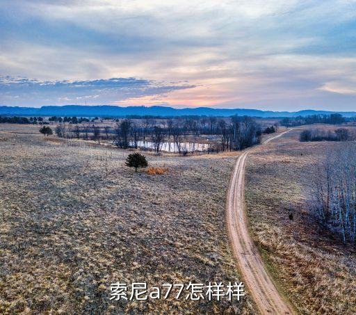a77，索尼a77防抖怎么樣