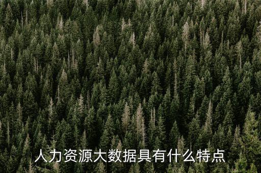 人力資源大數(shù)據(jù)具有什么特點(diǎn)