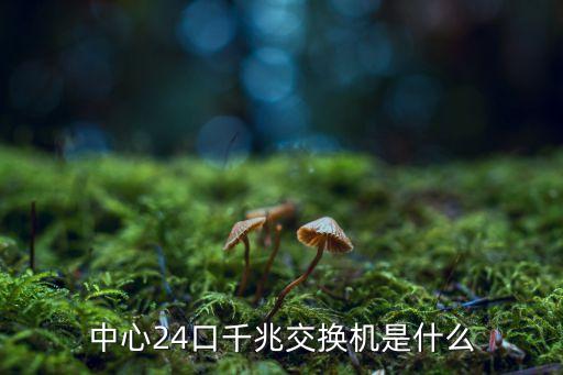 24口千兆交換機，中心24口千兆交換機是什么