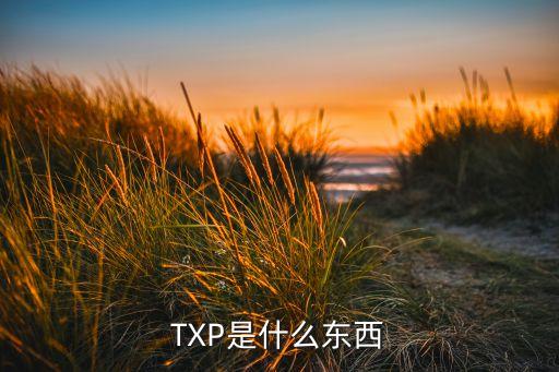txp，TXP是什么東西