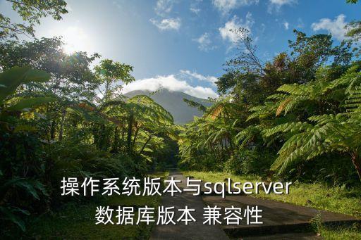 操作系統(tǒng)版本與sqlserver 數(shù)據(jù)庫版本 兼容性