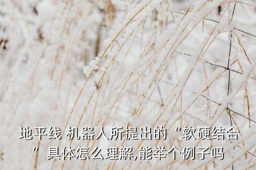  地平線 機器人所提出的“軟硬結合”具體怎么理解,能舉個例子嗎