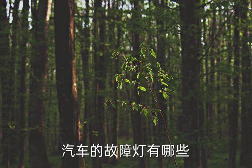 車(chē)子故障燈大全，汽車(chē)的故障燈有哪些