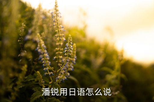 潘銳，澄江中學(xué)的潘銳老師為什么打我們 等學(xué)期快結(jié)束的時(shí)候我們打死你啊