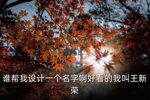 誰幫我設(shè)計(jì)一個名字啊好看的我叫王新榮