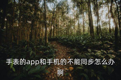 手表的app和手機(jī)的不能同步怎么辦啊