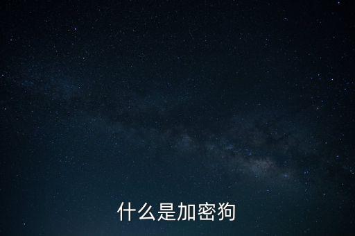 什么是加密狗