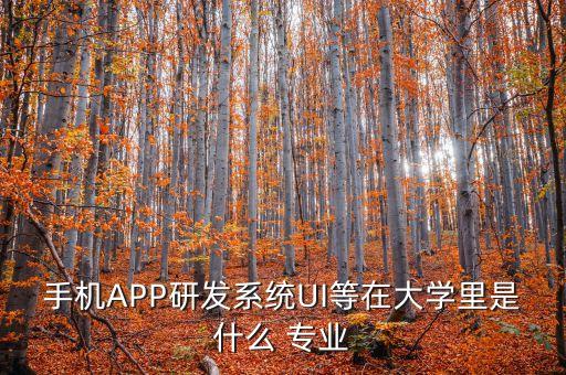 手機(jī)APP研發(fā)系統(tǒng)UI等在大學(xué)里是什么 專業(yè)