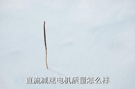直流減速電機(jī)質(zhì)量怎么樣