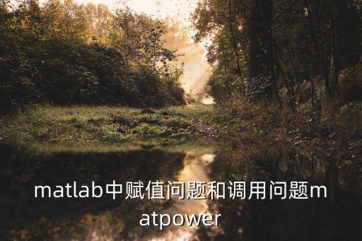 matpower，matlab中賦值問題和調(diào)用問題matpower