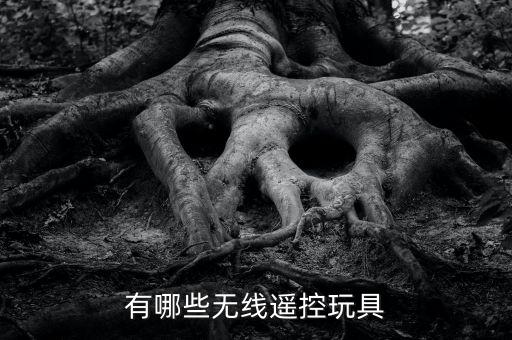 有哪些無線遙控玩具