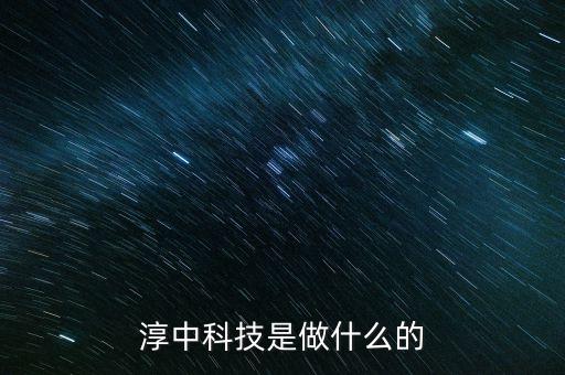 淳中科技是做什么的