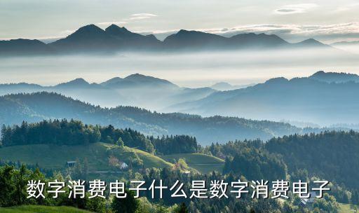 數(shù)字消費電子什么是數(shù)字消費電子