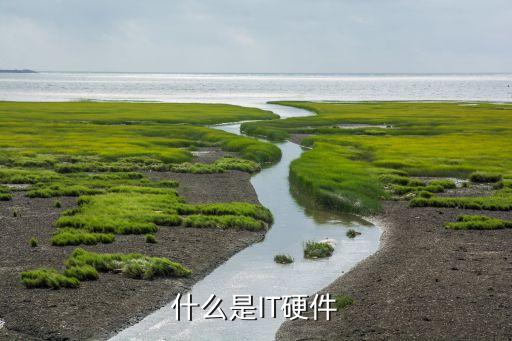 什么是IT硬件
