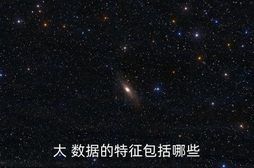 大數(shù)據(jù)具有哪些特點是什么意思,數(shù)據(jù)具有下列哪些特點