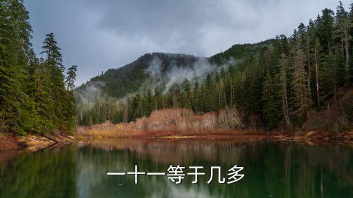 一十一等于幾多