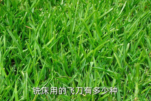 銑床用的飛刀有多少種