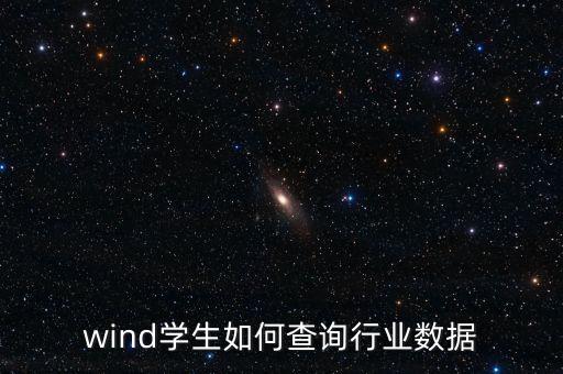 wind學生如何查詢行業(yè)數(shù)據(jù)