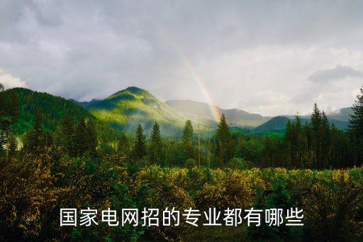 國家電網(wǎng)招的專業(yè)都有哪些