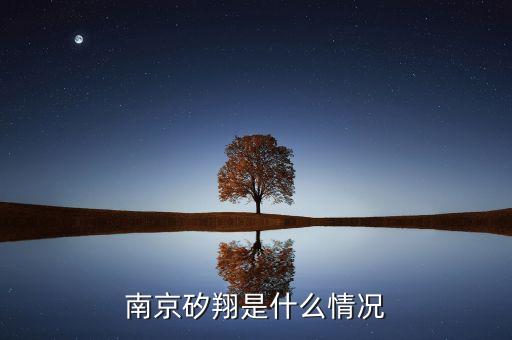 南京矽翔是什么情況