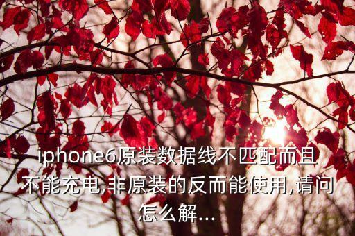 iphone6原裝數(shù)據(jù)線不匹配而且不能充電,非原裝的反而能使用,請問怎么解...