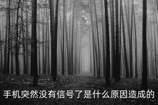 突然無移動(dòng)數(shù)據(jù)網(wǎng)絡(luò)是怎么回事啊,