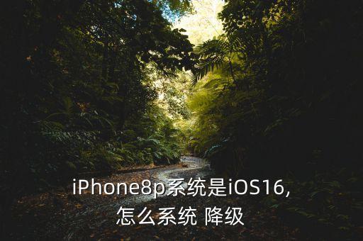 iPhone8p系統(tǒng)是iOS16,怎么系統(tǒng) 降級