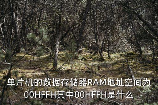 地址空間，空間地址是什么意思
