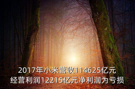 2017年小米營(yíng)收114625億元經(jīng)營(yíng)利潤(rùn)12215億元凈利潤(rùn)為虧損
