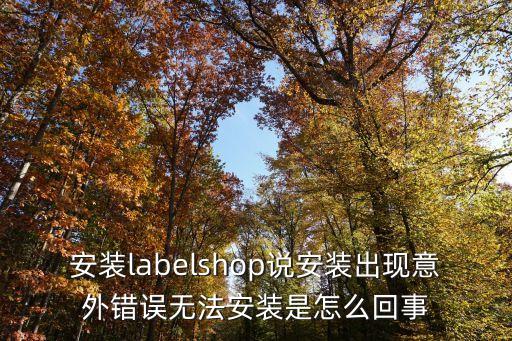安裝labelshop說安裝出現(xiàn)意外錯(cuò)誤無法安裝是怎么回事
