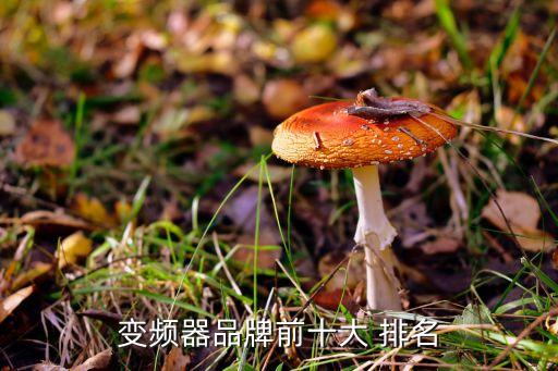 常安工業(yè)自動(dòng)化公司排名,國內(nèi)工業(yè)自動(dòng)化公司排名
