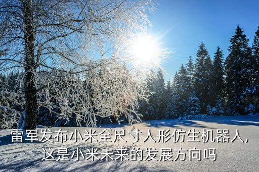 雷軍發(fā)布小米全尺寸人形仿生機器人,這是小米未來的發(fā)展方向嗎